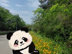 -青龙山国家森林公园