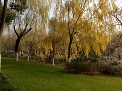 -堤角公园