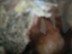 -清真·二嫂子煎饼果子(鼓楼旗舰形象店)