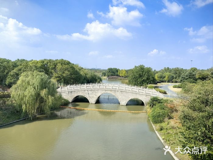 郑和公园图片