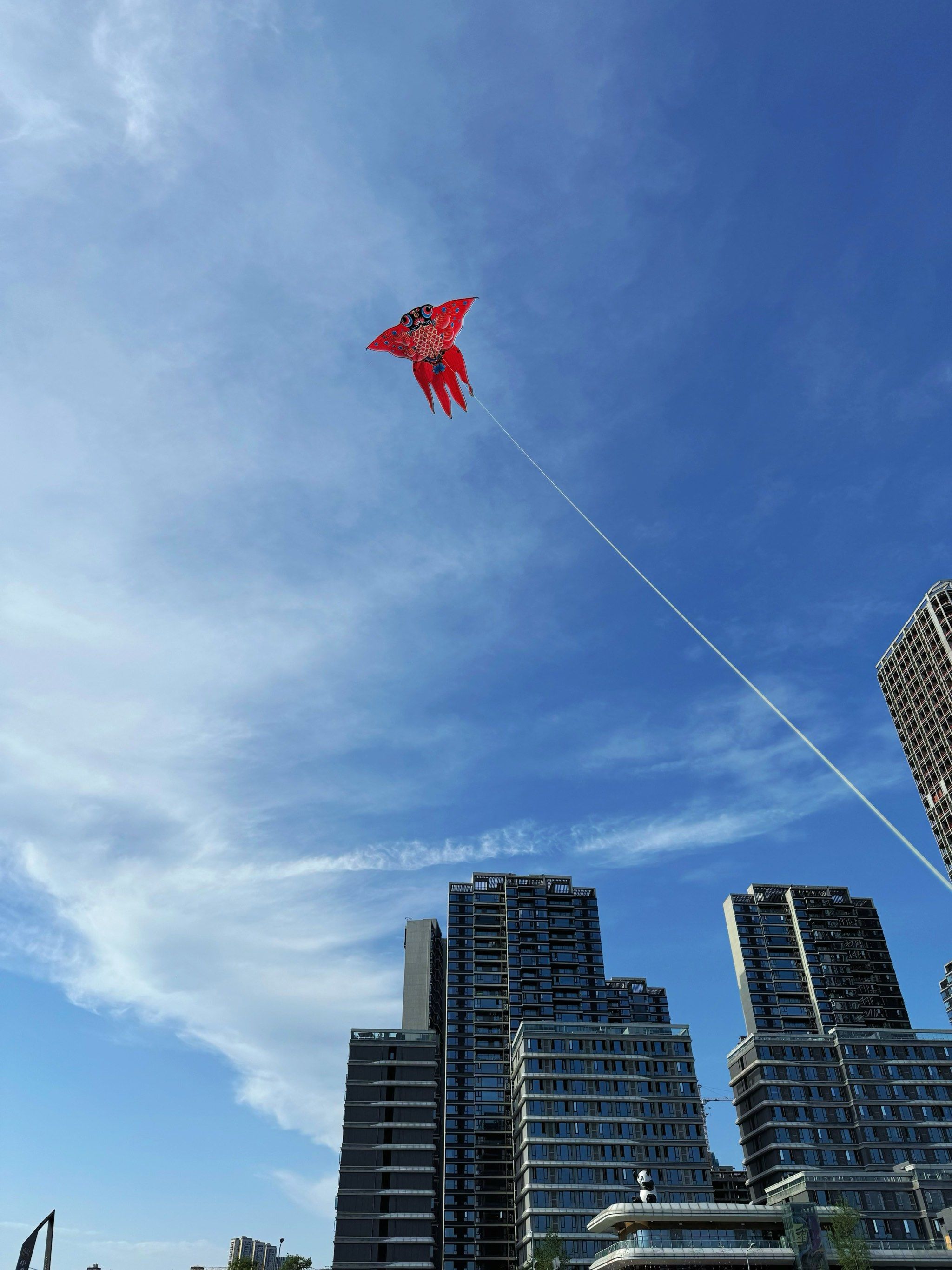 彩虹风筝飞满天