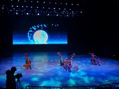 -重庆国际马戏城