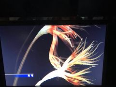 -同济大学四平路校区深海探索馆