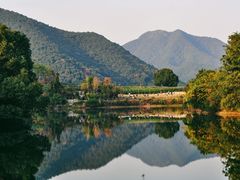 -龙坞茶村