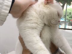 -贝利宠物医院·骨科·眼科·肿瘤转诊中心(南坪诊疗中心)