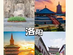 -西双版纳原始森林公园