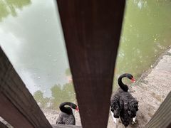 -上海虹桥迎宾馆