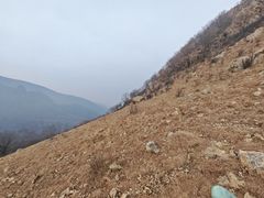 -白草畔自然风景区