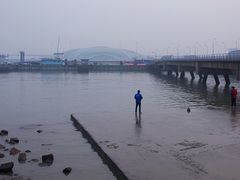 -吴淞炮台湾湿地森林公园烧烤区