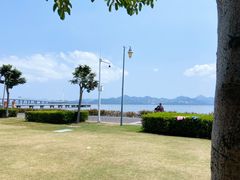 -深圳湾公园(南山区)