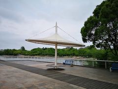 -新江湾城公园