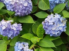 -南通博物苑-崇川人民公园