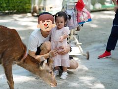 -史努比缤纷世界