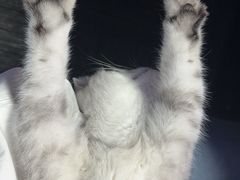 -无趣桌游狼人杀店