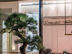 -尚层别墅装饰·大宅装修定制设计(天津分公司)