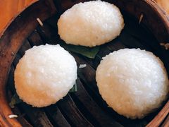 茨毛圆子-双塔老饭店