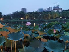 -西海子公园