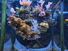 -郑州海洋馆