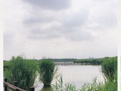 -西青郊野公园