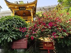 -泸州老窖景区