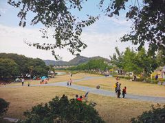 -风云岭森林公园