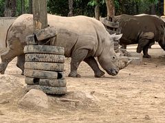 -西安秦岭野生动物园