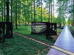 -黄海国家森林公园