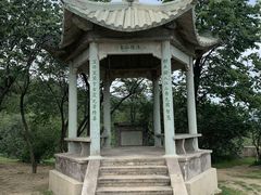 -北京鹫峰国家森林公园