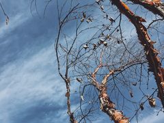 -叠溪松坪沟景区