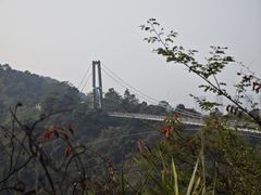 -南丹山森林王国