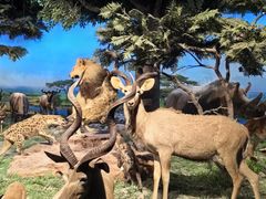 -国家自然博物馆