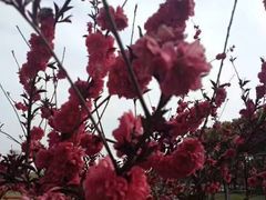 -同济大学(嘉定校区)