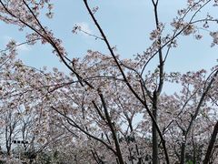 -幕燕滨江·燕子矶公园