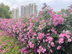 -好宜家眼视光·蔡司店(临汾店)