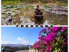 -中国科学院西双版纳热带植物园