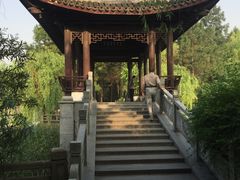 -范蠡湖公园