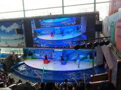 -成都浩海立方海洋公园