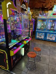 -卡通尼·Safari非洲探索乐园·生日会(金桥国际商业广场店)