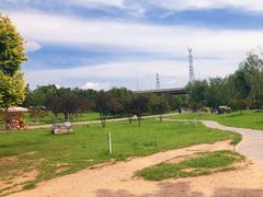 -永定河休闲森林公园