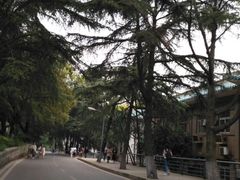 -武汉大学-樱园