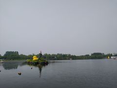 -杭州湾海上花田景区