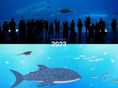 -珠海长隆海洋王国