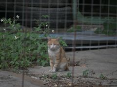 -广州市紫泥堂文化创意园景区