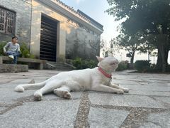 -黄埔古港