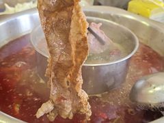 -金鼎雪山牦牛杂火锅(理县总店)