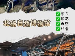 -重庆自然博物馆(新馆)