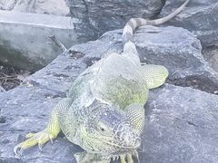 -北京海洋馆
