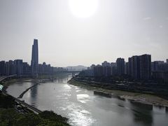 -李子坝梁山鸡(李子坝大鸡哥店)