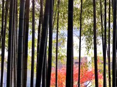 -苏州环秀晓筑养生度假村
