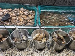 -初色海鲜自助(万丰路店)